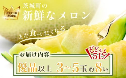 490 アールスメロン 3～5玉 約8kg 優品以上 高級 茨城 JA水戸産