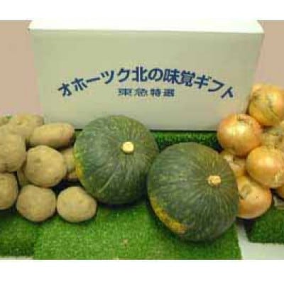 JAきたみらい「男爵芋・玉葱・南瓜」セット【配送不可地域:離島・沖縄県】