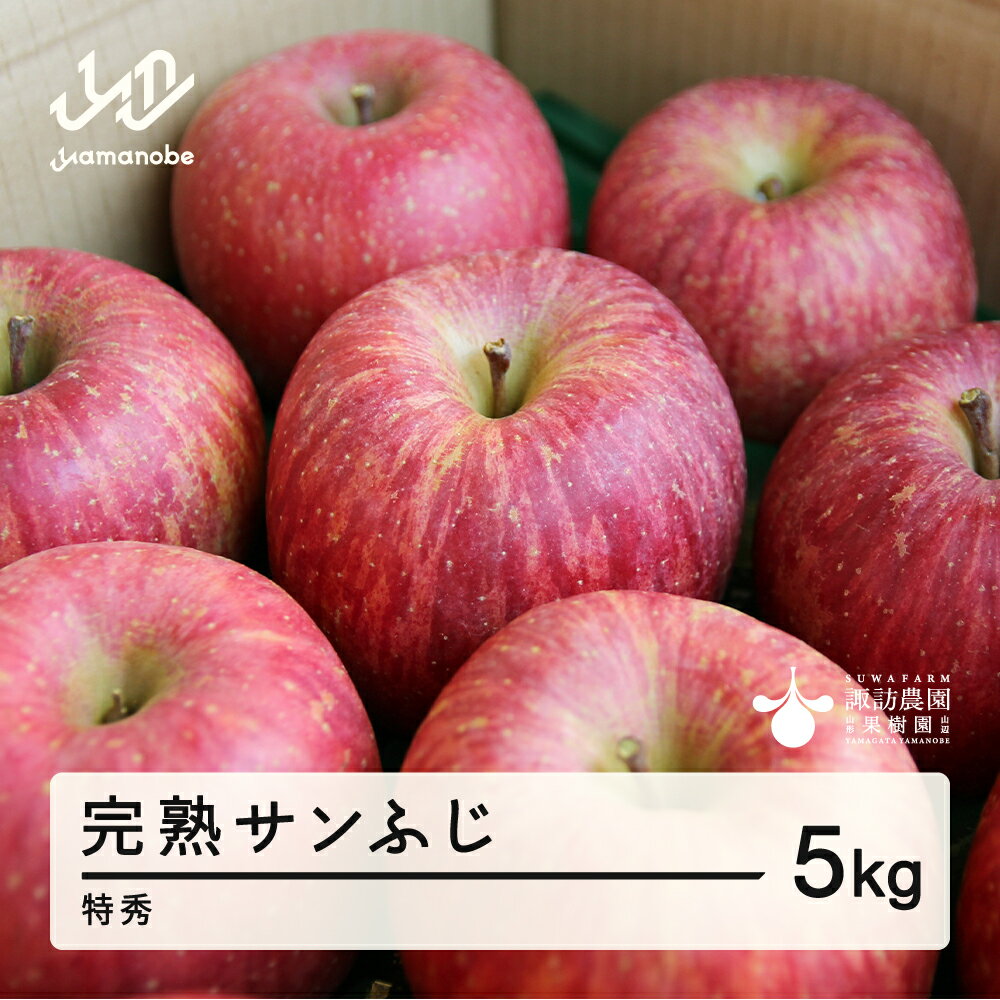 【ふるさと納税】 《先行予約》2025年 山形県産 完熟 サンふじ りんご 特秀品 5kg 14〜20個 2025年12月上旬から順次発送 リンゴ フルーツ F20A-903