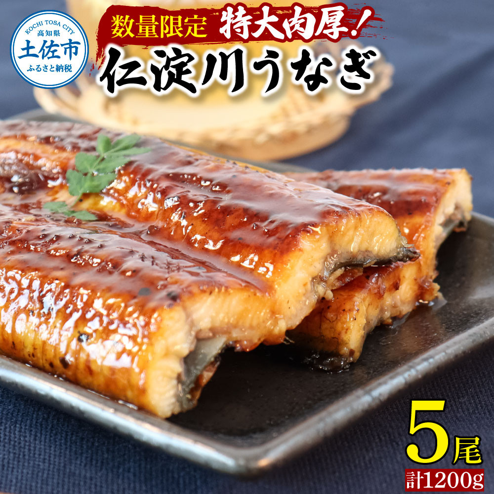 
【数量限定！】仁淀川特大肉厚うなぎ5尾セット タレ付き うなぎ 鰻 ウナギ 蒲焼き かば焼き 1尾200g超え 仁淀川 国産 太化うなぎ おいしい 人気 冷凍 真空パック 夏
