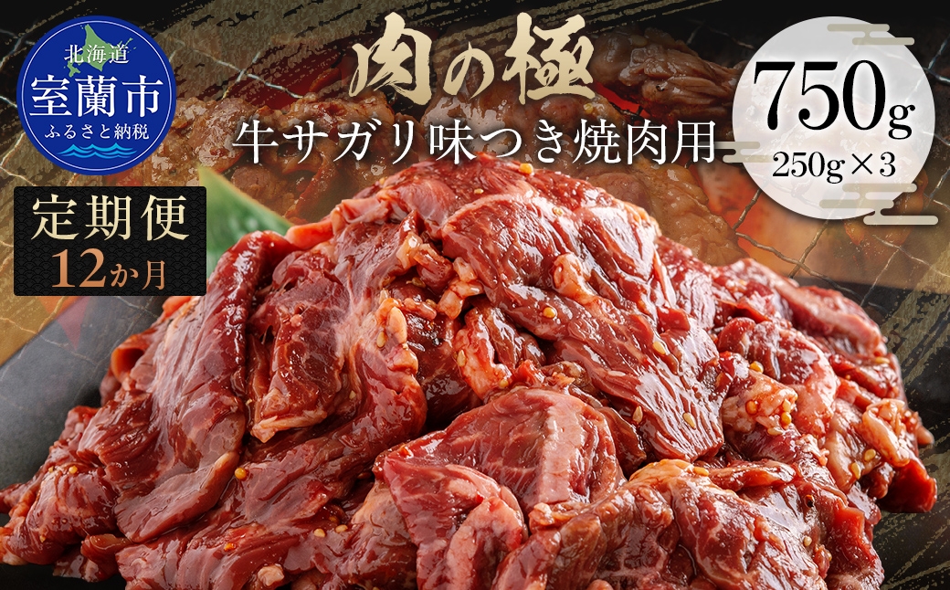 
                  【12か月定期便】牛サガリ味つき焼肉用 750g (250g×3) 【ふるさと納税 人気 おすすめ ランキング 肉 牛肉 牛サガリ 牛 にく ニク 味付き 焼肉 バーベキュー BBQ 北海道 室蘭市 送料無料】 MROBM031
                
