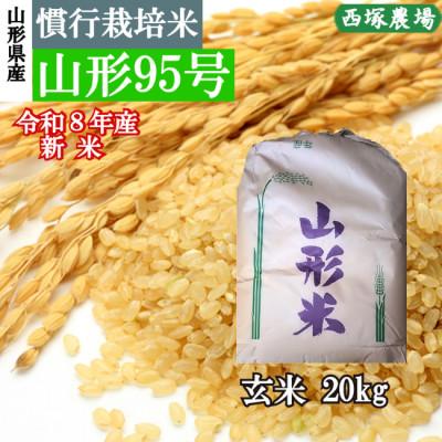 ふるさと納税 最上町 新米　令和8年産 慣行栽培米 山形95号　玄米 20kg　山形県産　西塚農場