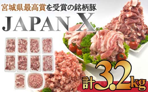＜蔵王町産＞JAPAN X　豚肉バラエティセット 3.2kg  　豚肉 豚 ブランド豚 小分け 豚小間 豚こま ひき肉 切落し 豚バラ 豚ロース ジャパンエックス 蔵王 人気 　【04301-0366】