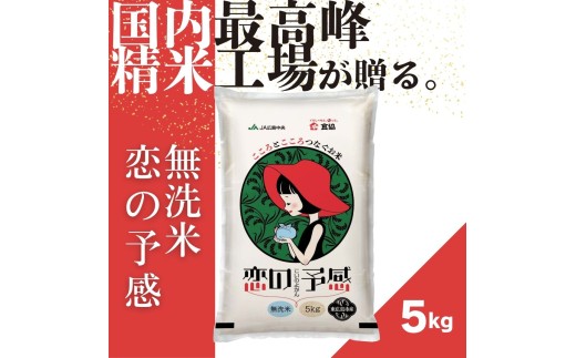 令和7年産　東広島市産米　恋の予感　無洗米　5kg