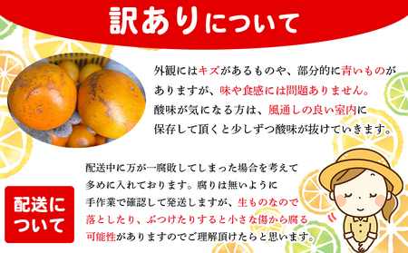 ＜木下さんちのせとか 訳あり 約3kg（S～3L大中小混み）＞ 訳アリ 家庭用 自宅用 柑橘 ミカン みかん 蜜柑 果物 くだもの フルーツ 国産 特産品 木下農園 愛媛県 西予市【常温】『2027年