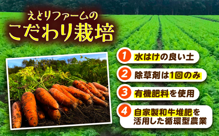 北海道 にんじん 3kg（土付き）《足寄町》【餌取農場】 北海道産 甘い 人参 野菜 根菜 ニンジン 3kg 道産 キャロット 糖度高め サラダ ジュース 生鮮野北海道産 菜 あしょろ 足寄 [BEB