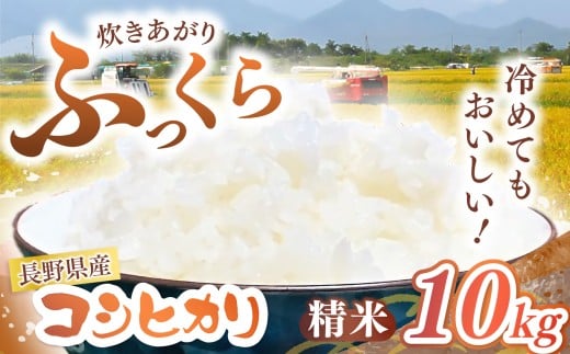 長野県産 コシヒカリ 精米 10kg | 米 こめ コメ お米 白米 はくまい 精米 コシヒカリ 長野県 松川村 信州