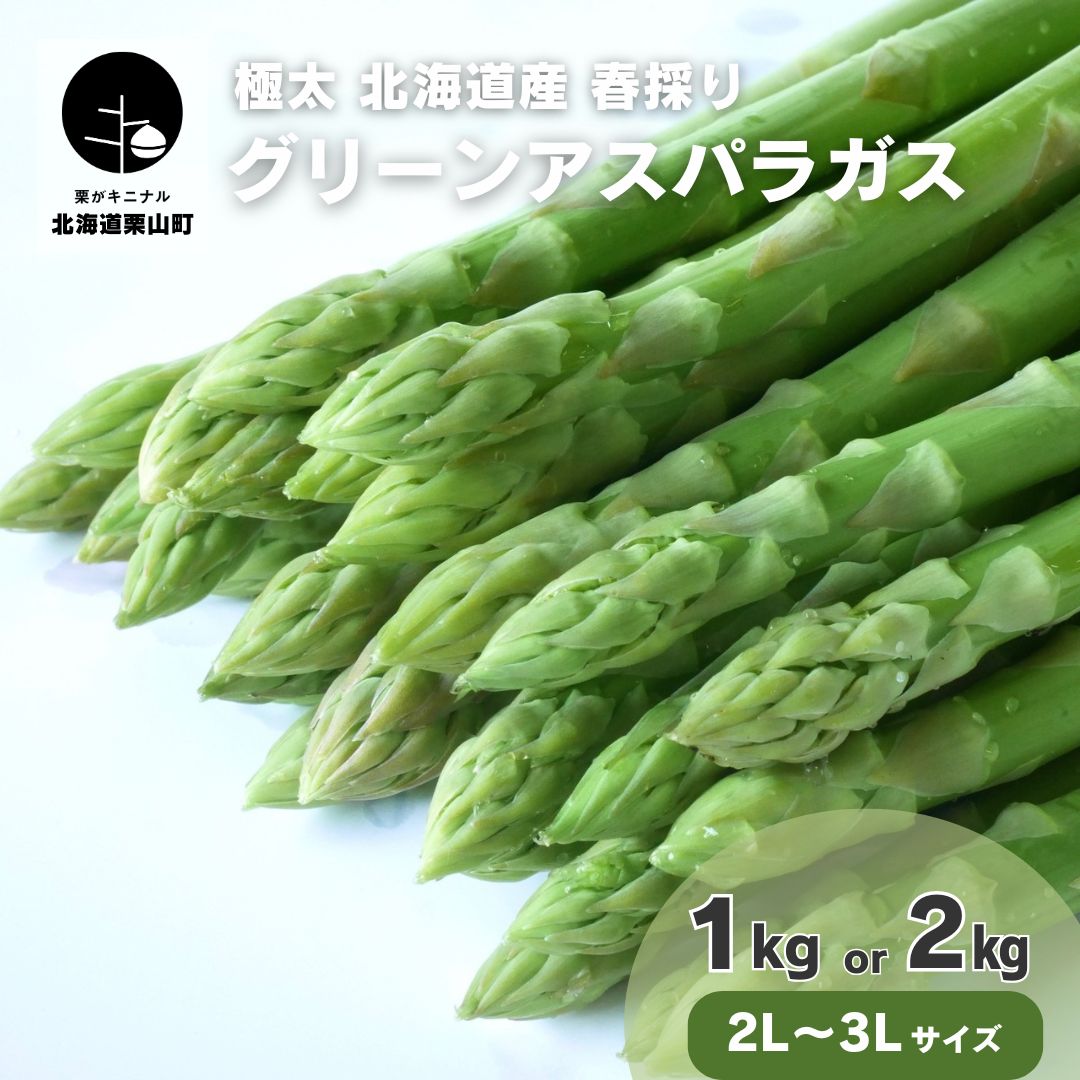 【ふるさと納税】【先行予約】極太 北海道産 春採りグリーンアスパラガス　3L〜2L 岸本農場