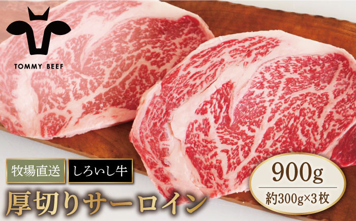 【牧場直送】佐賀県産 しろいし牛 厚切り サーロインステーキ 900g（約300g×3枚）【有限会社佐賀セントラル牧場】