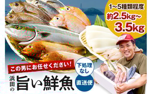 この男に任せてみませんか～浜田の旨い鮮魚直送便(下処理なし)～ 【006_1952】