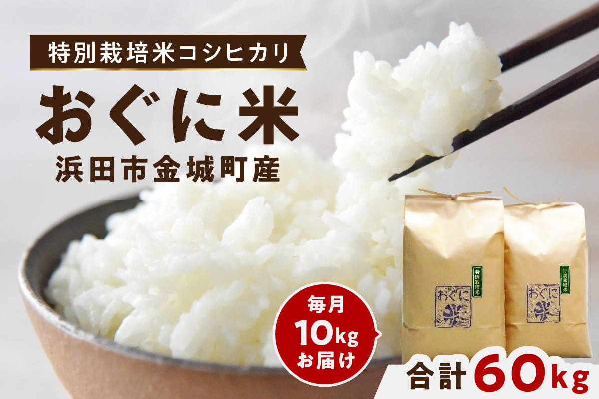 
            【定期便】【先行予約】【令和7年産】浜田市金城町産コシヒカリ「おぐに米」10kg定期便（6回コース） 定期便 10キロ 6回 米 お米 こしひかり 白米 特産品 お取り寄せ 精米 小分け 【071_0862】
          