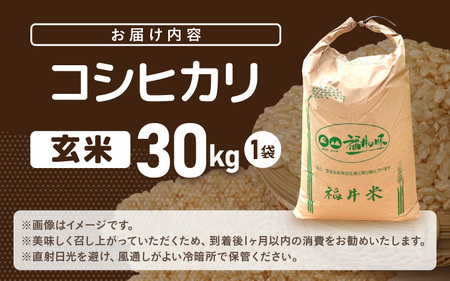 【先行予約】米 令和7年産 コシヒカリ 30kg（玄米）【2025年9月中旬以降順次発送予定】 [m76-e001]