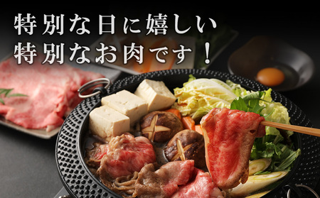 宮崎牛 肩ロース しゃぶしゃぶ すき焼き用 700g 切り落とし 牛肉  国産 お肉 冷凍 宮崎県 九州 送料無料 日本一 祝！宮崎牛は、史上初和牛オリンピック４大会連続内閣総理大臣賞受賞！