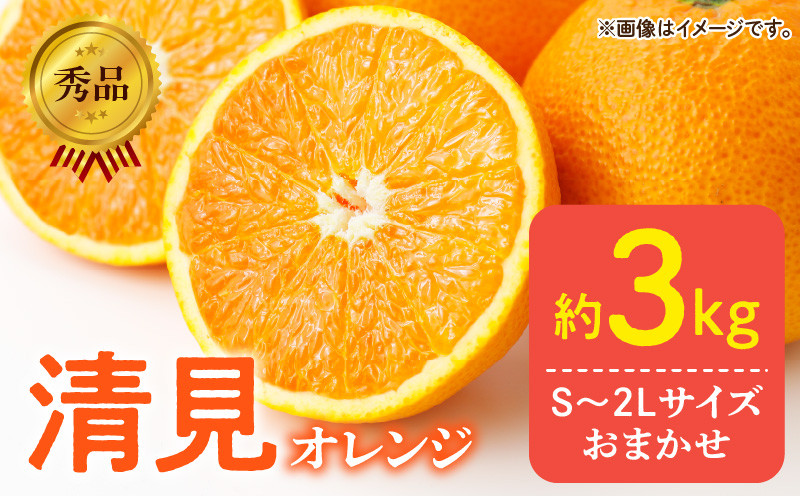 
                  【2027年先行予約】秀品 きよみ 清見オレンジ 和歌山 有田 S～2Lサイズ 大きさお任せ 約3kg_DZ6103
                