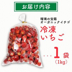 植物系有機肥料のいちご 瑠璃の宝箱 冷凍いちご オーガニックイチゴ 計1kg 【いちご】