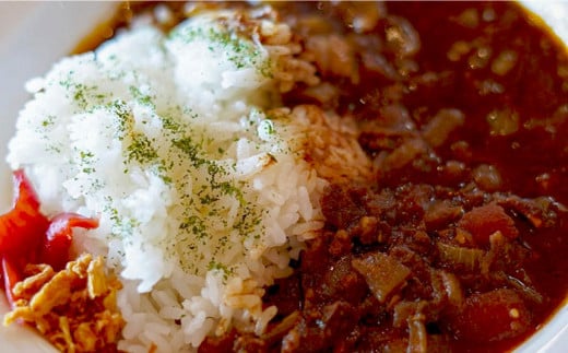 愛犬と一緒にシーカヤック体験！わんこOKのカフェでランチ付き【2名+1犬】【10歩Garage & BUCO caf】 [OBJ003]