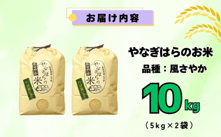 【先行予約】＜令和7年産新米＞特別栽培米 「やなぎはらの米 風さやか 」10㎏ (7-71) 長野県 飯山市 おすすめ ランキング 高評価 大人気 ギフト 米 お米