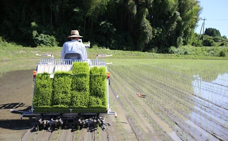 【令和7年産】難関突破達成米 白米 5kg×2 精米 熊本県 南関町産 単一原料米 ヒノヒカリ 産地直送 コメ お米 祈願米