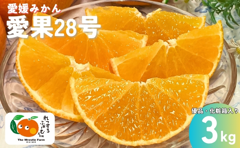 愛果28号 3kg 優品 レッスルファーム みかん 紅まどんなと同一品種 愛媛【2026年11月下旬から順次発送予定】先行予約 数量限定 お取り寄せ おすすめ 美味しい おいしい グルメ フルーツ くだもの 愛媛県産 人気 柑橘 伊予市｜B252