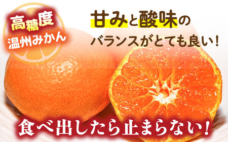 【2026年11月下旬-発送】【高糖度】 温州みかん 約5kg / みかん ミカン 蜜柑 長崎県産みかん 糖度 果物 くだもの フルーツ ふるーつ 旬 家庭用 5kg / 南島原市 / 南島原果物屋 