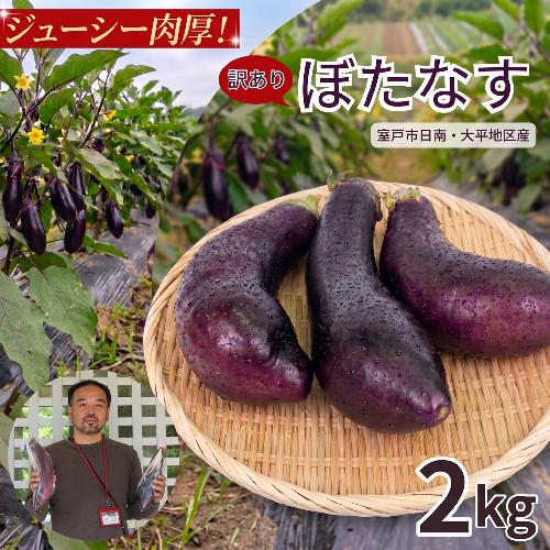 訳あり品 【 伝統野菜 ぼたなす 訳あり 2kg 】 なす ナス ボタナス 焼きナス ナスレシピ 野菜 とろける食感 クリーミー 人気 お取り寄せ 詰合せ 野菜セット 甘い 産地直送 新鮮 野菜 希少 吉良川町 日南 大平 集落活動センター ひなたぼっこ 高知県 室戸市