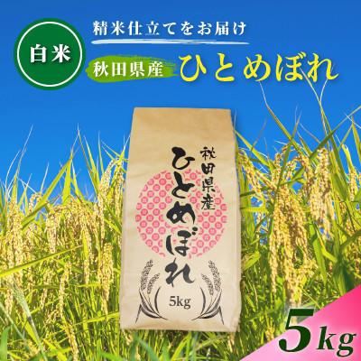 ふるさと納税 由利本荘市 【発送月固定定期便】2026年11月〜発送 白米 秋田県産ひとめぼれ 5kg(5kg×1袋)全7回