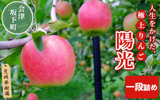 
            17-G　[予約開始！]　荒明果樹園　人生をかけた、極上りんご（陽光）5kg（一段詰め）｜ りんご リンゴ 林檎 果物 くだもの フルーツ 福島県 会津坂下町 ※2025年10月中旬頃より順次発送予定
          