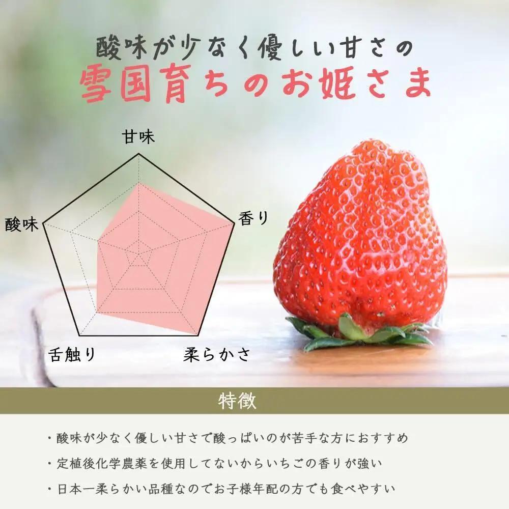 【先行予約】越後姫 いちご シングル約380g 越後姫 苺の花ことば