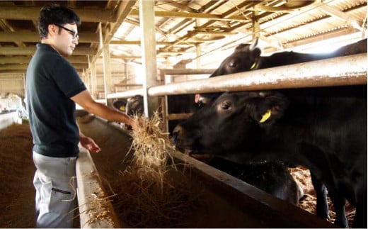 みやま和牛 飼育の様子について