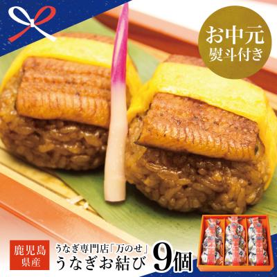 ふるさと納税 南さつま市 【お中元ギフト】鹿児島県産 鰻 万のせうなぎお結び9個 ギフト 贈答 冷凍 国産 お取り寄せ