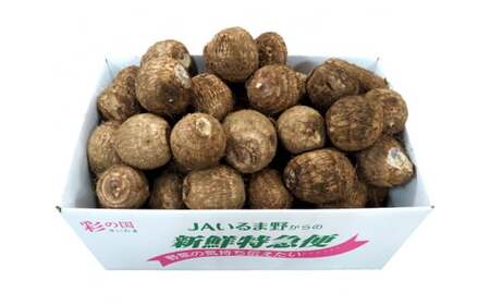 里芋 約3kg Lサイズ | 里芋 いるま野農業協同組合 埼玉県 狭山市