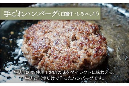 【3回定期便】ハンバーグ＆ロールステーキ定期便 / ハンバーグ [IAH049]