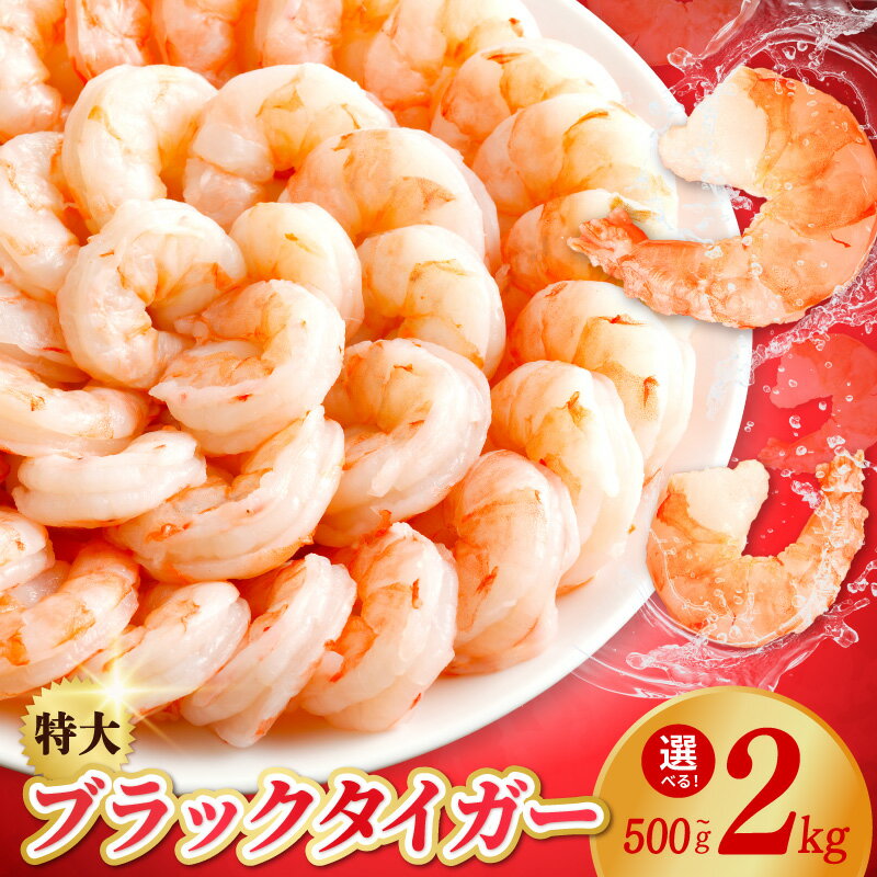 ＼レビューキャンペーン実施中／ エビ 高級 ブラックタイガー 大型むきえび 背ワタなし サイズ不揃い エビチリ エビマヨ エビフリット に おすすめ 食品 お取り寄せ お取り寄せグルメ 送料無料 泉佐野市