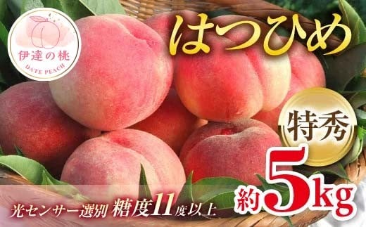 【2026年出荷分先行予約】福島県産 特秀 はつひめ 約5kg (18-22玉) ふくしま未来農業協同組合 特秀 透過式光センサー選別 糖度11度以上 伊達の桃 桃 フルーツ 果物 もも モモ momo F20C-127