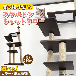 スケルトンキャットタワー XLB-P（高さ230cm） _ キャットタワー スケルトン 突っ張り型 猫 猫用 透明 クリアボウル 家具調仕上げ インテリア 重厚感 高級感 多頭飼い おすすめ 運動不足解消 ストレス解消 安心 安全 耐久性 組立式 受注生産 日本製 国産 ペット用品 お取り寄せ 福岡県 久留米市 送料無料 _Qx089-01