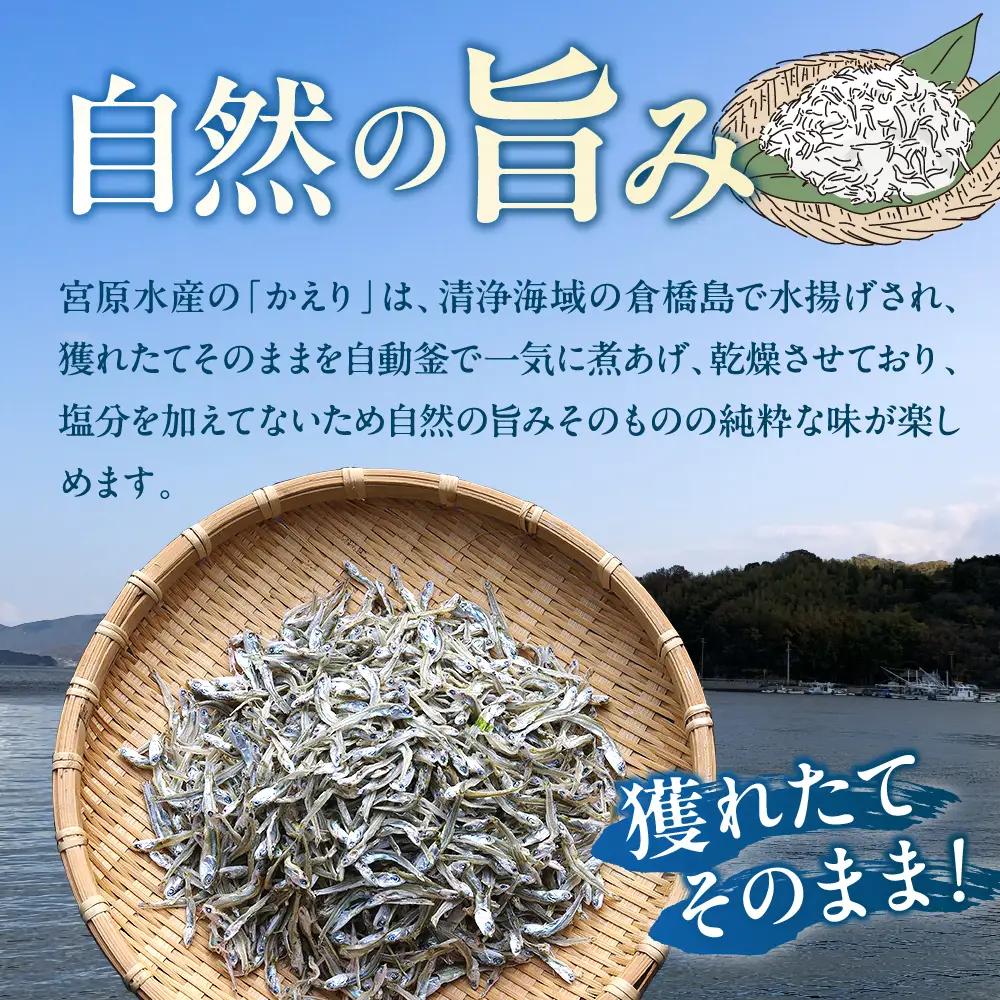  倉橋かえり500g 宮原水産 カタクチイワシ 煮干し カルシウム