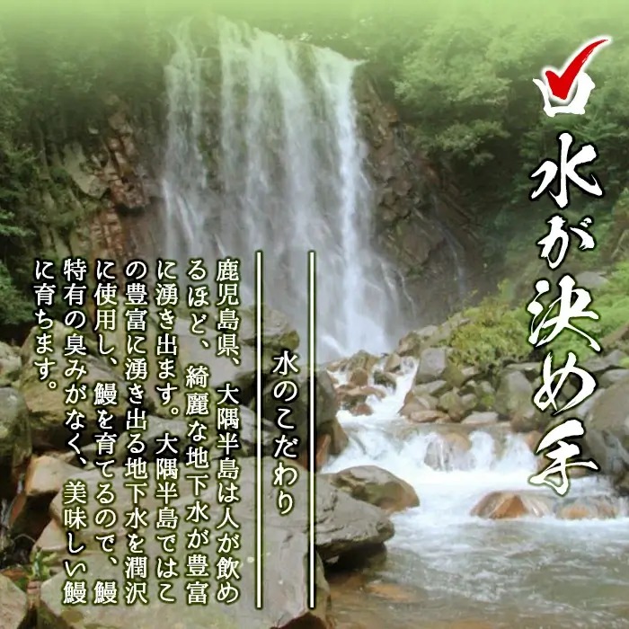 【志布志市人気No.1お礼の品】霧島湧水鰻の蒲焼き 160g以上×4尾＜計640g以上＞　うなぎ 鰻 ウナギ 4尾 国産 九州産 蒲焼き かばやき 冷凍 うな重 ひつまぶし タレ 山椒 ランキング 人