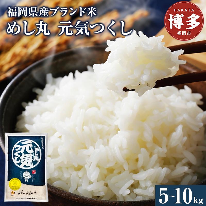 【ふるさと納税】福岡県産めし丸元気つくし 選べる容量 5～10kg | 福岡県 福岡市 福岡 九州 返礼品 楽天ふるさと 納税 お取り寄せグルメ 取り寄せ グルメ 食品 お取り寄せ 米 元気つくし お米 おこめ こめ コメ 新米 白米 精米 おいしい 美味しい ご当地 国産 おいしい米