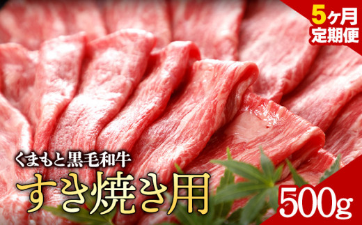 牛肉 くまもと黒毛和牛 すき焼き用 定期便 5回  株式会社KAM Brewing《お申込み月の翌月から出荷開始》