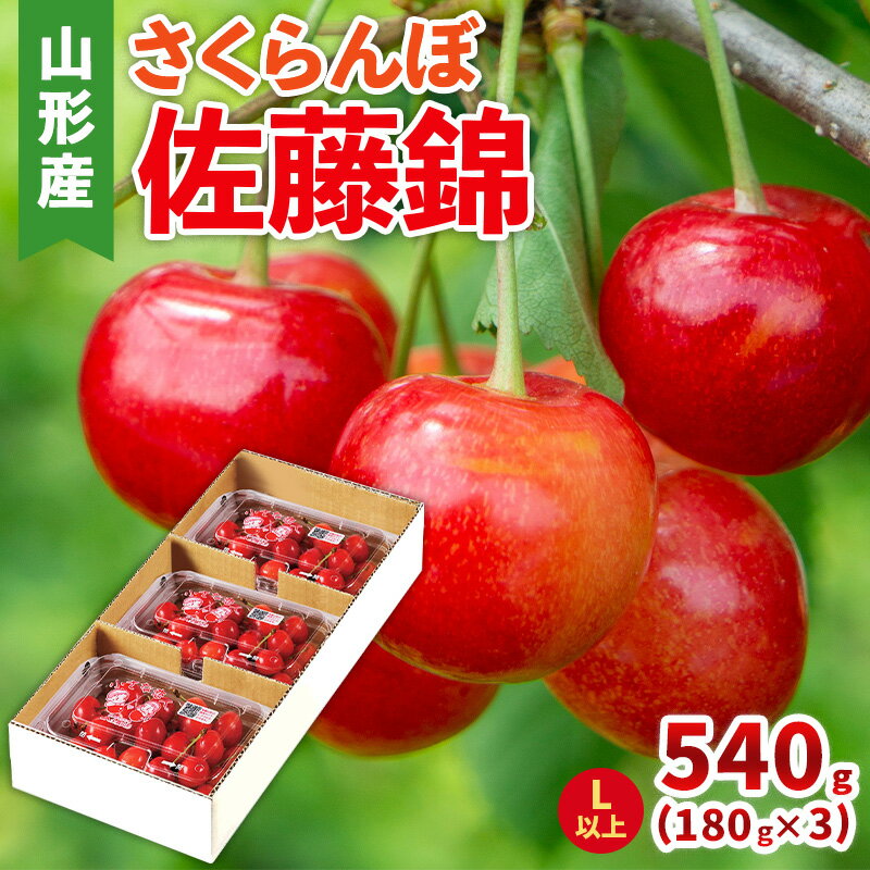 【ふるさと納税】さくらんぼ(佐藤錦) Lサイズ 540g(180g×3パック) 【令和8年産先行予約】FS25-045