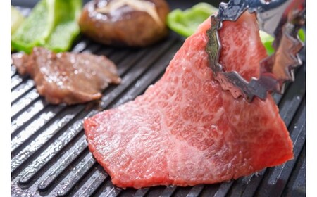 AB475.訳あり！【A4～A5】博多和牛焼肉切り落とし（肩ロース・バラ）約500g【博多和牛】