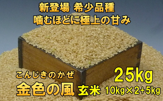 【令和6年産】【玄米25kg】新登場の高級米 岩手県奥州市産 金色の風 玄米25キロ [AC035]