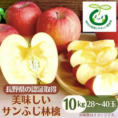 【ふるさと納税】長野県の認証取得の美味しいサンふじ林檎10kg_ りんご ふじ サンふじ リンゴ 林檎 サンふじりんご 甘い 美味しい 蜜 信州 長野県 中野市 産地直送 10kg 秋 冬 くだもの 果物 果実 フルーツ デザート おやつ 減農薬 【1534439】