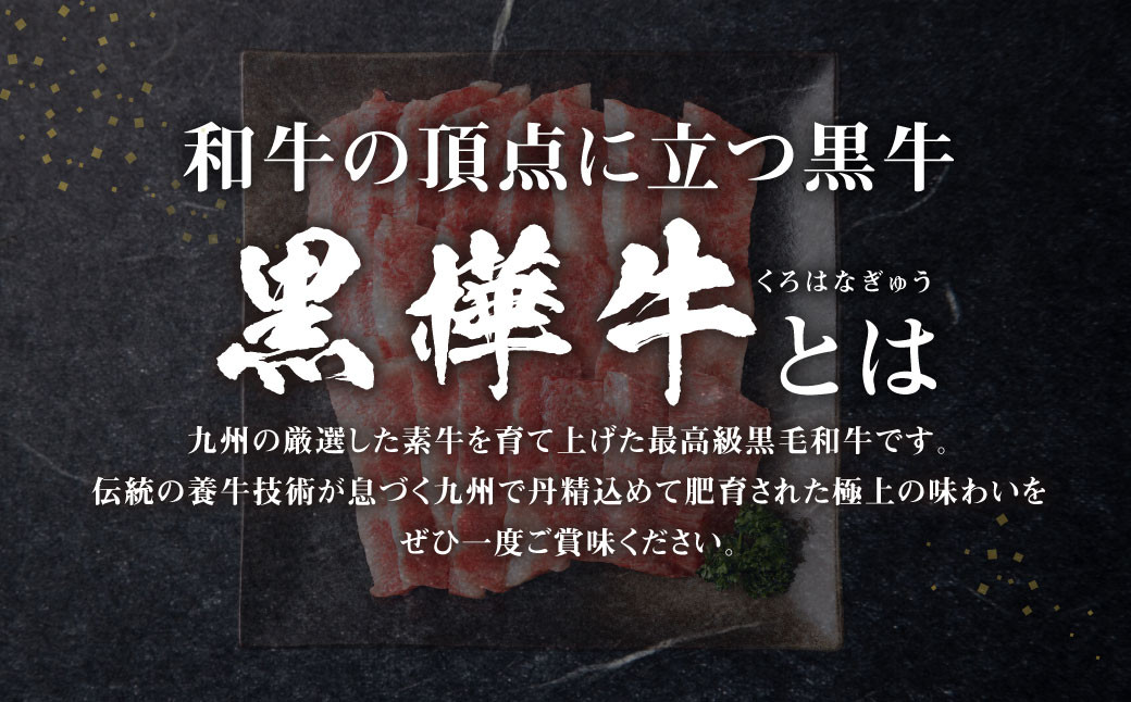 くまもと黒毛和牛 黒樺牛 A4~A5等級 焼肉用 カルビ 250g×2 計500g