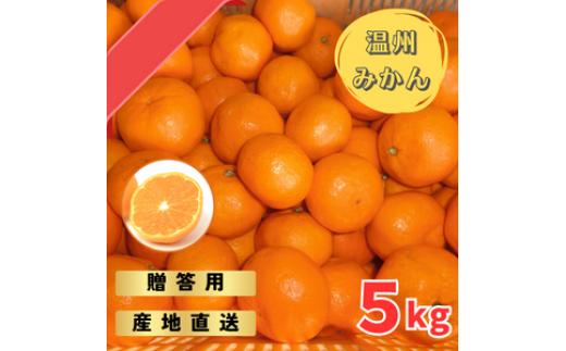 【先行予約】宮川早生みかん 贈答用 秀品 5kg（2S~2L）【2025年11月下旬から12月中旬までに順次発送】 / みかん 蜜柑 柑橘 果物 フルーツ 早生 秀品 贈答【tmf006】