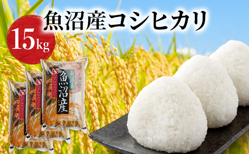 令和7年度産【十日町産】 魚沼産コシヒカリ15kg 米 お米 こしひかり 精米 新潟 