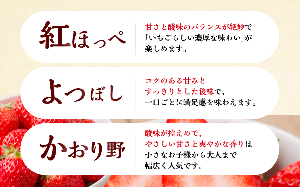 【プレミアム 定期便 全7回】【2027年1月より発送開始】自宅用 いちご 品種おまかせ 1kg (250g × 4p ）7か月 7回｜フルーツ 果物 スイーツ 苺 いちご イチゴ しあわせ苺 サイズ