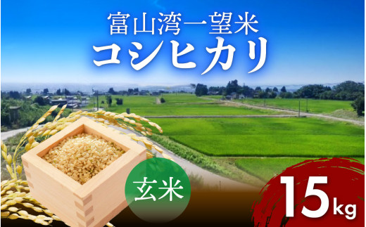 【先行予約】令和8年産 富山湾一望米　コシヒカリ 玄米 【容量15kg】[C-051001] 農家直送 米 定期便 選べる 玄米 富山県滑川産お米 産地直送 袋 ブランド米 お米 白米 こしひかり