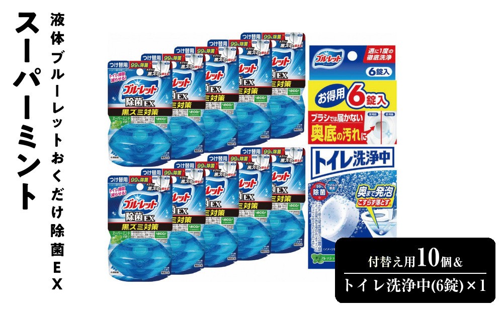 
            液体ブルーレットおくだけ除菌ＥＸスーパーミント　付替え用10個＆トイレ洗浄中(6錠)×1
          