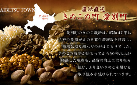 【B05201】きのこ詰合せ（6種類）セット